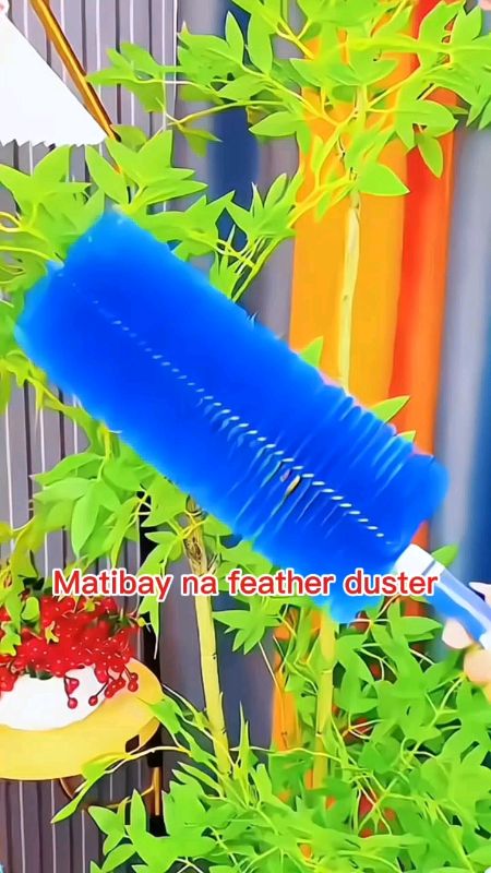 Fan duster, feather duster , Dust remover, pantanggal alikabok #MasMuraSaShopee #FreeCoinsInShopeeVideo