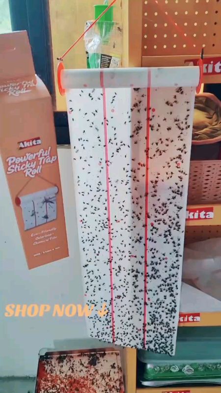 #FreeCoinsInShopeeVideo #MasMuraSaShopee #akita #fliescatcher #powerful #sticky #trap #roll #business #market #household #poultryfarm #trending #fyp