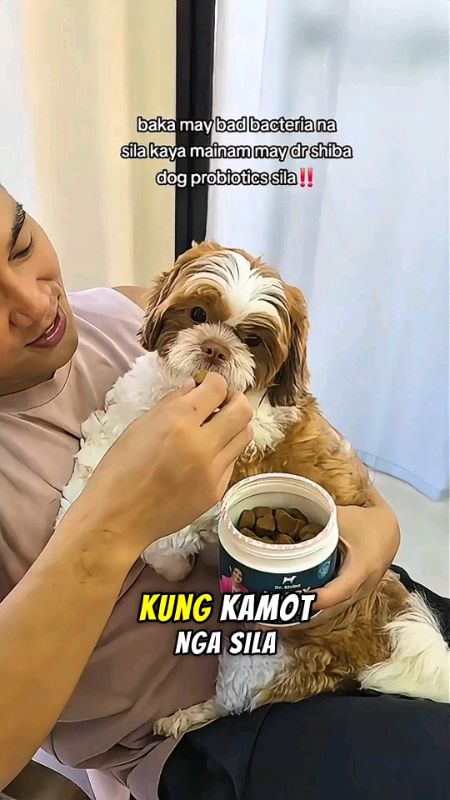 Effective tong treats na ito sa b@d bacteria ng fur babies natin #drshiba #probiotics #probiotic #dog #vitamins #healthy #gut #viral #trending