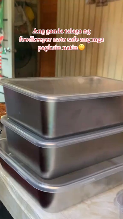 Stainless steel food container