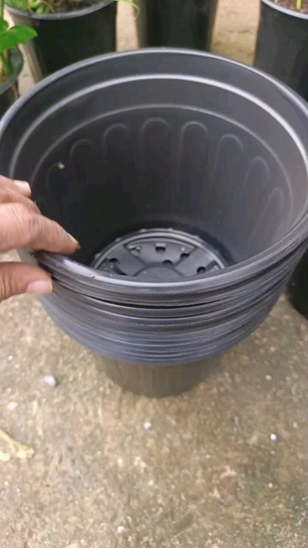 #blackpots #potsforplants #plantpots #pots