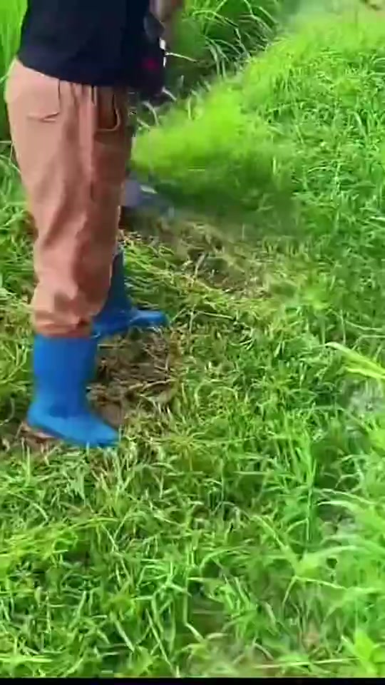 Electric Lawn Mower Cordless Grass Trimmer Pruning Cutter Garden Tool Lithium Battery