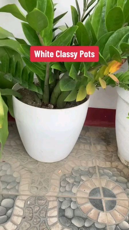 #Shopee33InstantSurprise #MasMuraSaShopee #bestseller