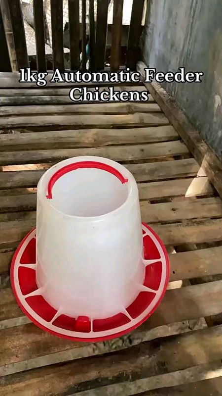 #Buy1take2 1.5 Kg #automatic #Chicken #Feeder #drinker #fowl #Water #Food #feeder Chicken #poultry #Breeding #trending #tool #fashion #diy