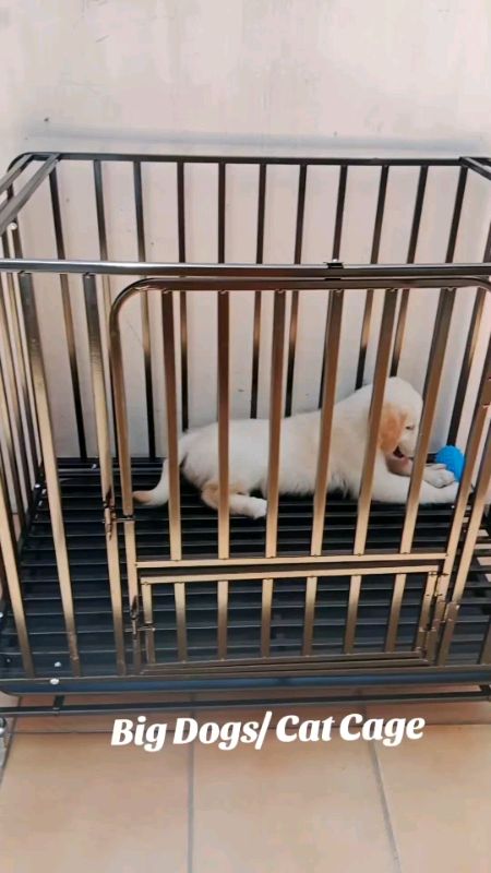 #dog #cage #thickened #Large #dogcage #squaretube #stainless #portable #mobile #petcage #4wheels