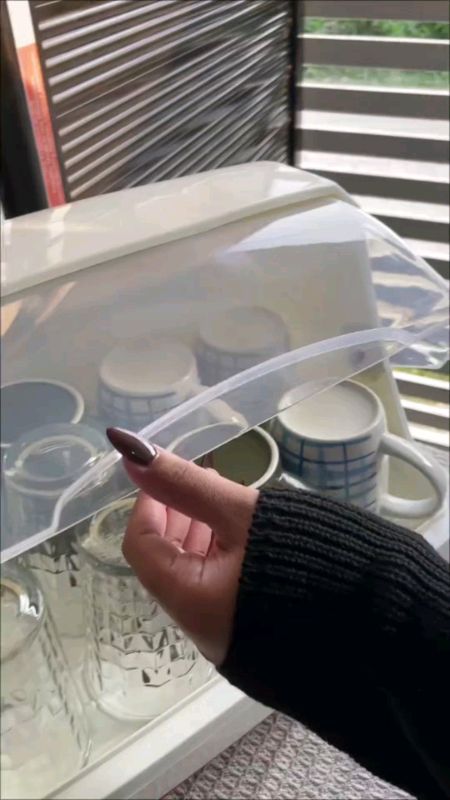 Cup Drainer with Cover Dish Rack Drainer dish organizer Glass Cup Mug Drain Shelves Storage Organize#MasMuraSaShopee #freecoininshopeevideo