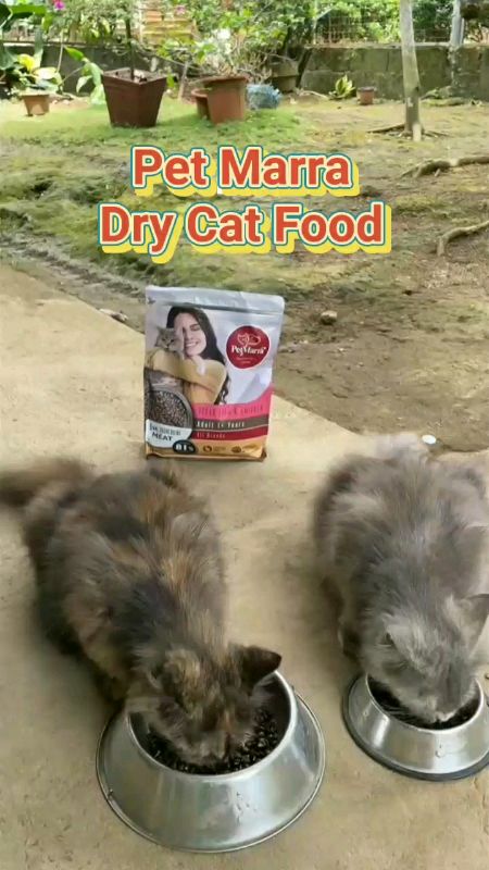 Pet Marra Dry Cat Food Adult Ocean Fish Chicken 1kg 5kg Available #petmarradrycatfood #oceanfishchicken #adultfood