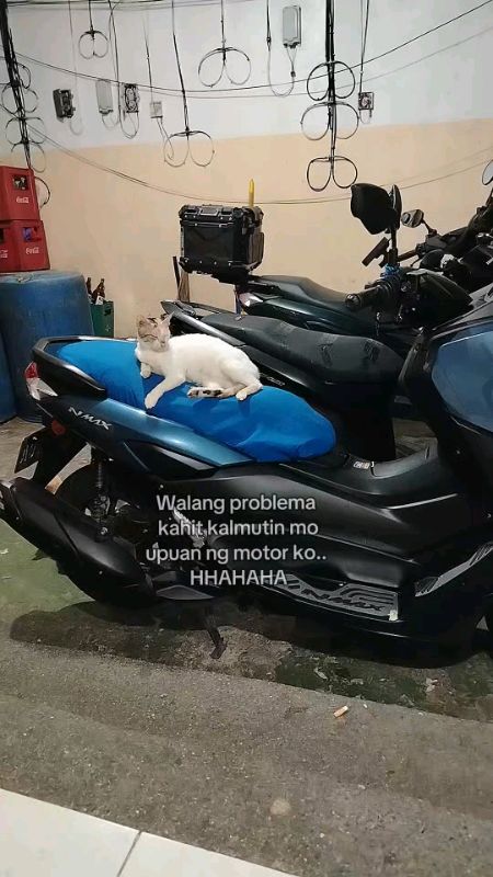 Motorcycle Seat Cover#dailygrind#HugotSaShopee #ShopeeDeals #FreeCoinsInShopeeVideo #ShopeeFinds #sulit #fyp #MasMuraSaShopee