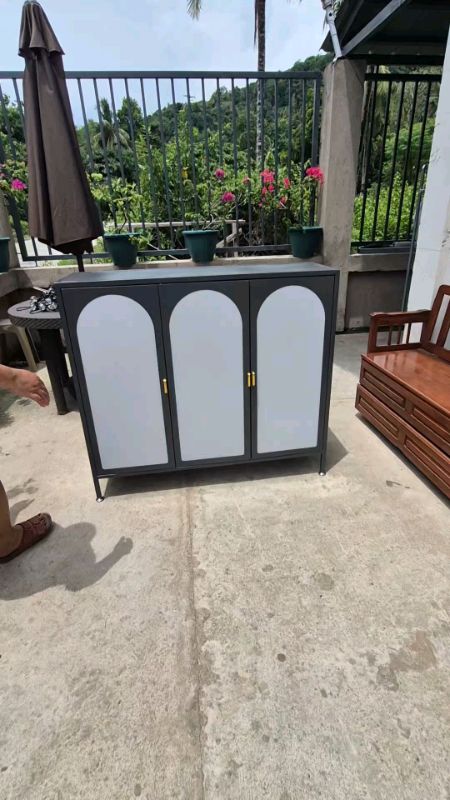 #metalcabinet #storagecabinet #cabinetorganizer