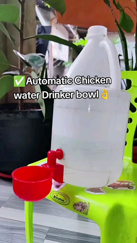 #BUY20take20 #Automatic #Refill #Poultry #water #Drinker #cup for #Chickens and #birds, Red Plastic #trending #fashion #tool #diy