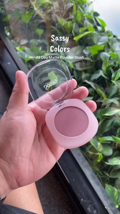 Fave blush 🎀 #blush #sassycolors #makeup #tonisia