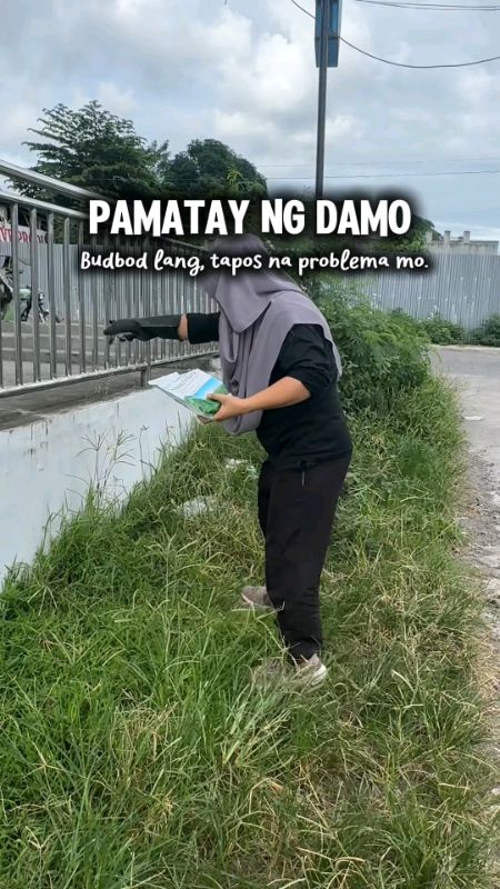 #fastactingherbicide #herbicidehexazinone #pamataydamo #herbicidegranules #herbicide #granularherbicide #hexazinonegranularherbicide #Hexazinone