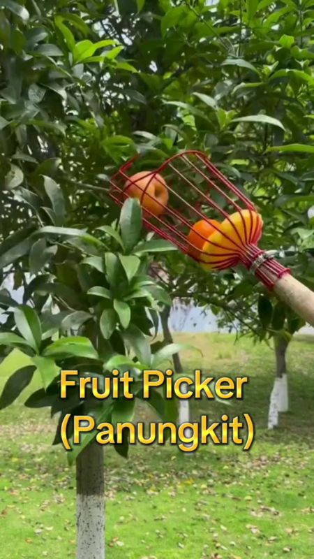 Fruit Picker With Basket #MasMuraSaShopee #FreeCoinsInShopeeVideo #ShopeePayDaySale