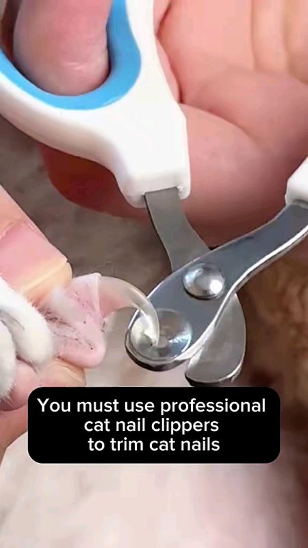 #Circular #CutHole #CatNail #Clippers #Pet #Nail #clippers for #Cats #pet #safe #NailCutter #stainless #trending #tool #fashion #diy