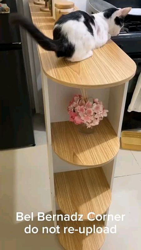 #freecoininshopeevideo #fyp #trending #BudolSaShopee #MasMuraSaShopee #spaylater