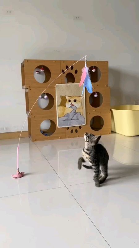 Check out Cat Teaser Interactive Cat Toys Feather Wand w/ #suctioncup Retractable #pettoys for #indoorkitten #kitten #FreeCoinsInShopeeVideo #CatToy