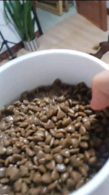 #dogfood #petmarradogfood #PetMarra #fyp #shopeeVideo #trend #shopee #viral #trending #MasMuraSaShopee #FreeCoinsInShopeeVideo #shopeeph #viralvideo
