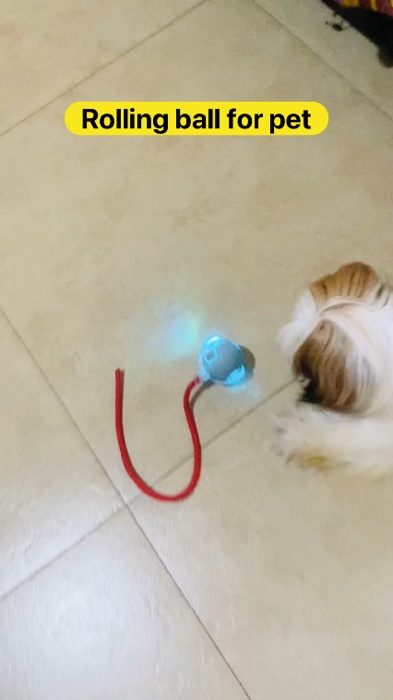 Rolling ball for pet #XtraChallenge #MasMuraSaShopee #furbabyfinds #petessentials #freecoinsinshopeevideo #furbaby