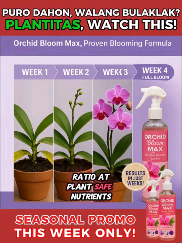 ORCHID BLOOM MAX 250ML #fertilizerfororchids #ornamentalspray #effective #plantita #MasMuraSaShopee #FreeCoinsInShopeeVideo #provenandtested #fyp #buy