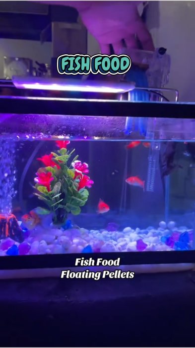 FIsh food Aquarium Fish food floating pellets #Fishfood #Floatingpellets #Aquariumfood #fishlover #Fishfood
