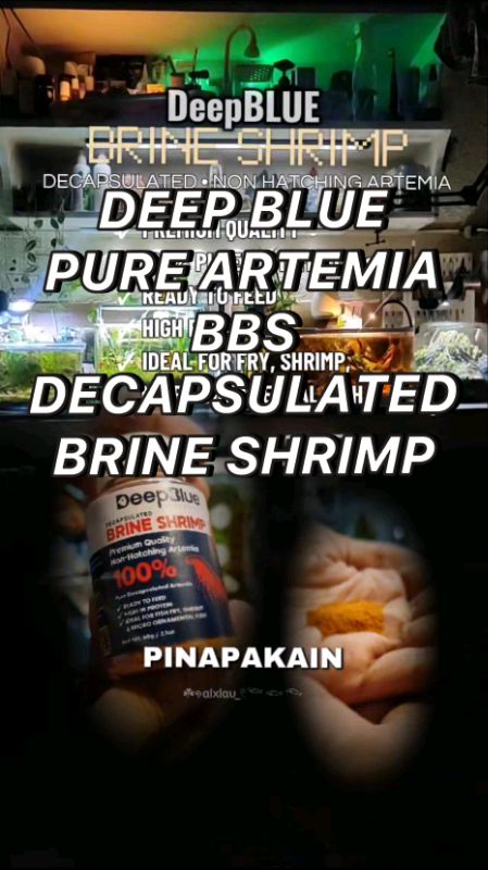 Legit and pure 100%artemia. Brine shrimp. DECAPSULATED. Ito na gamitin, para sigurado para sa mga alaga natin. #BrineShrimp #Pure #Decap #bbs #Fish
