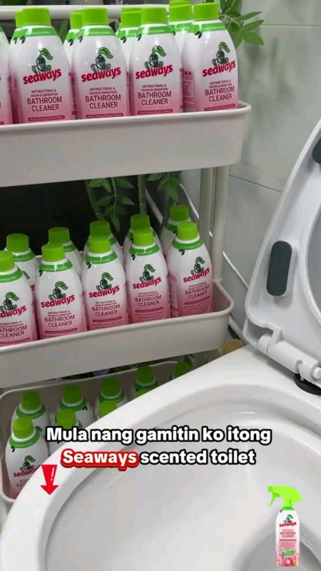 Gaganahan ka talagang maglinis kay Seaways#Seaways#seawaybathroomcleaner#bathroomcleaner