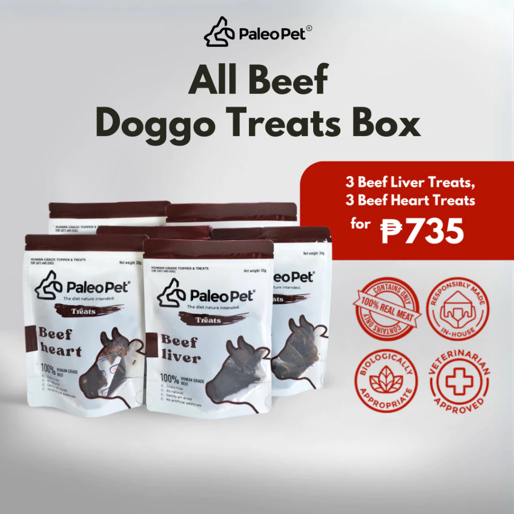 All Beef Doggo Treat Box