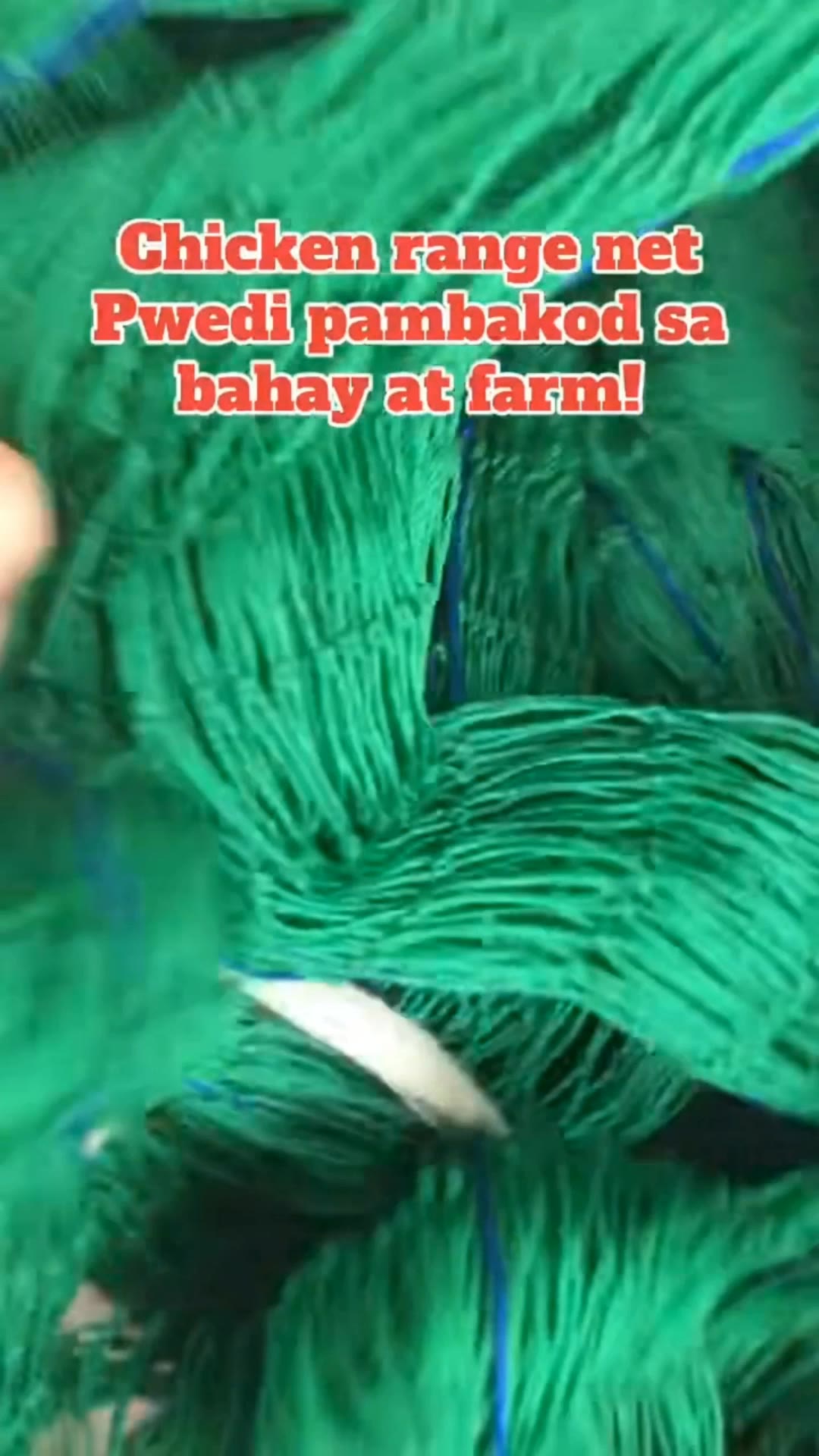 Chicken Range Net #ChickenNet #RangeNet #Pambakod #BirdsControl #EasyInstall #Homemade #Store #Bakod #Net #Shopee #ShopeeTrends #ShopeeVideo #ShopeeFinds